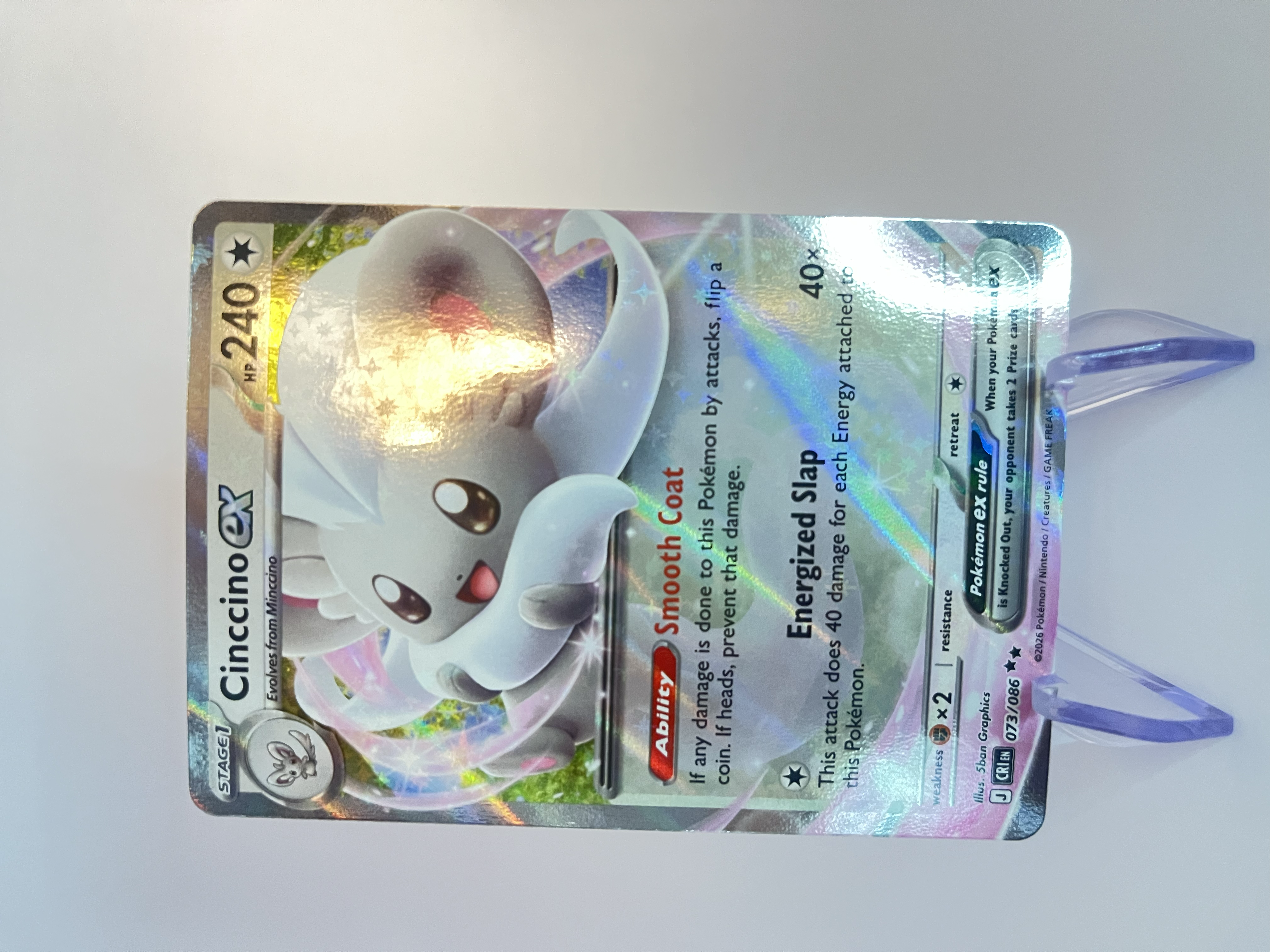 Cinccino ex